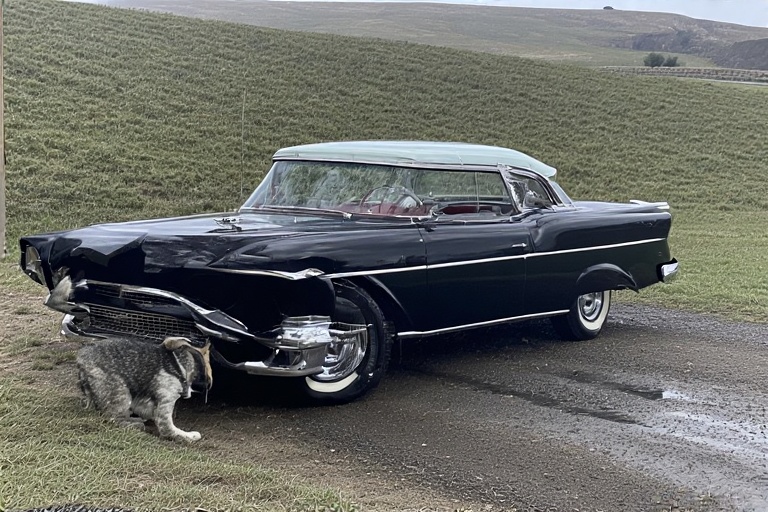 1956 chevrolet bel air philomath​